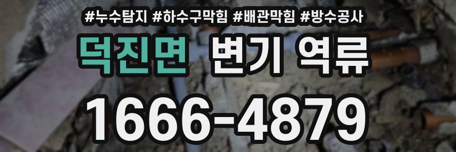 덕진면 변기 역류
