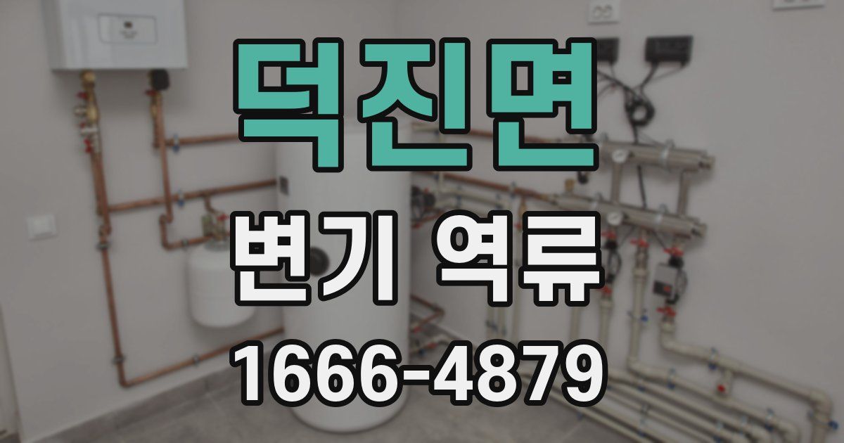 덕진면 변기 역류