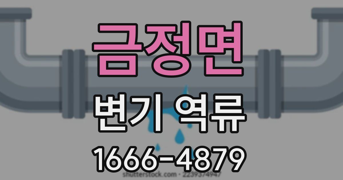 금정면 변기 역류