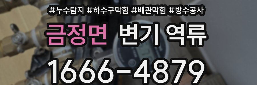금정면 변기 역류
