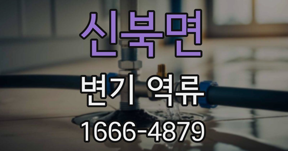 신북면 변기 역류