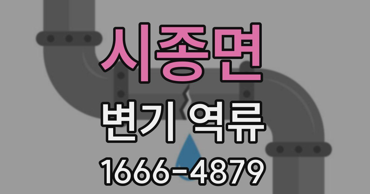 시종면 변기 역류