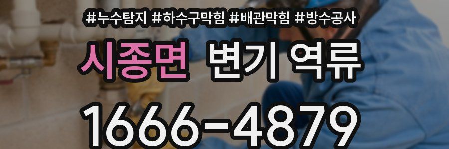 시종면 변기 역류