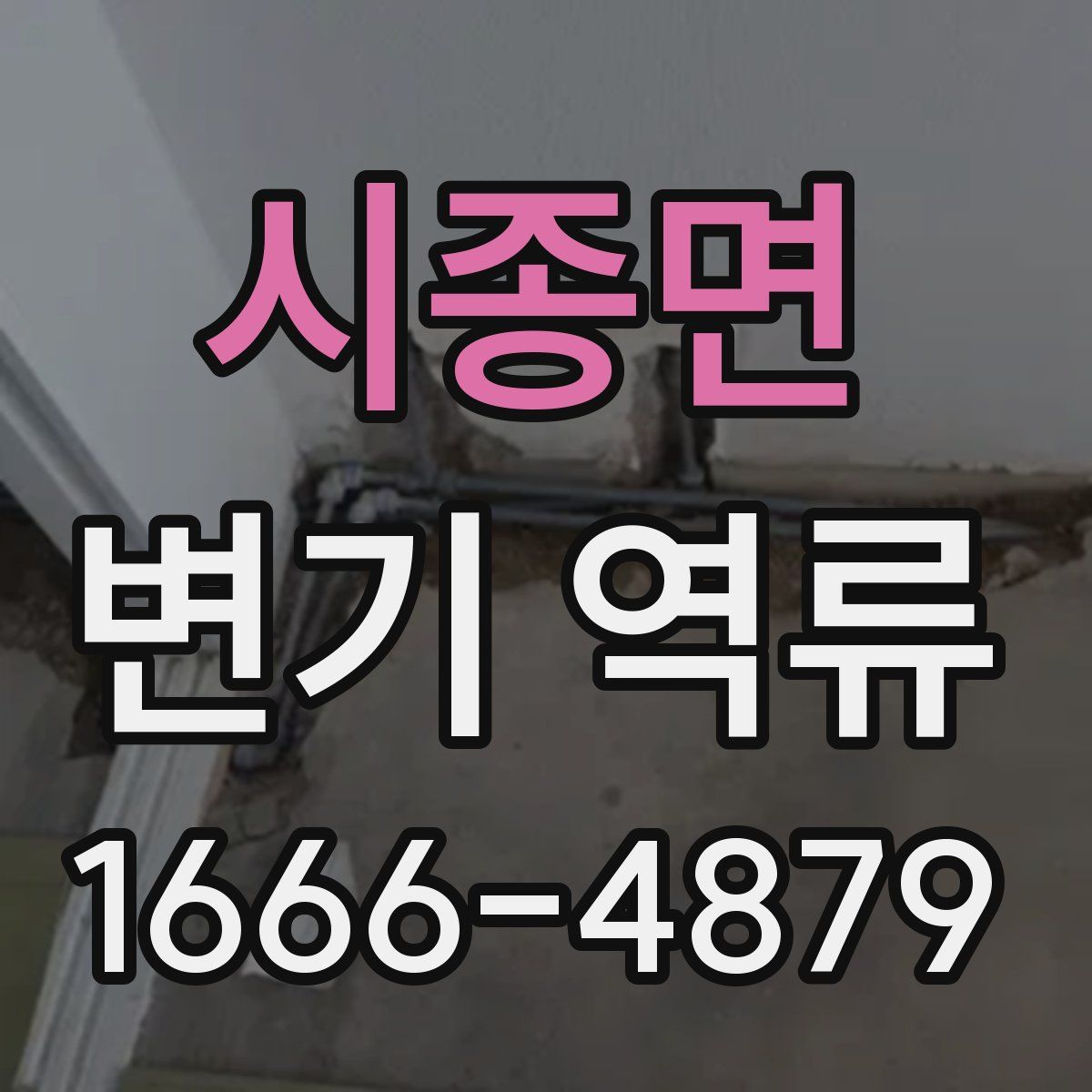 시종면 변기 역류