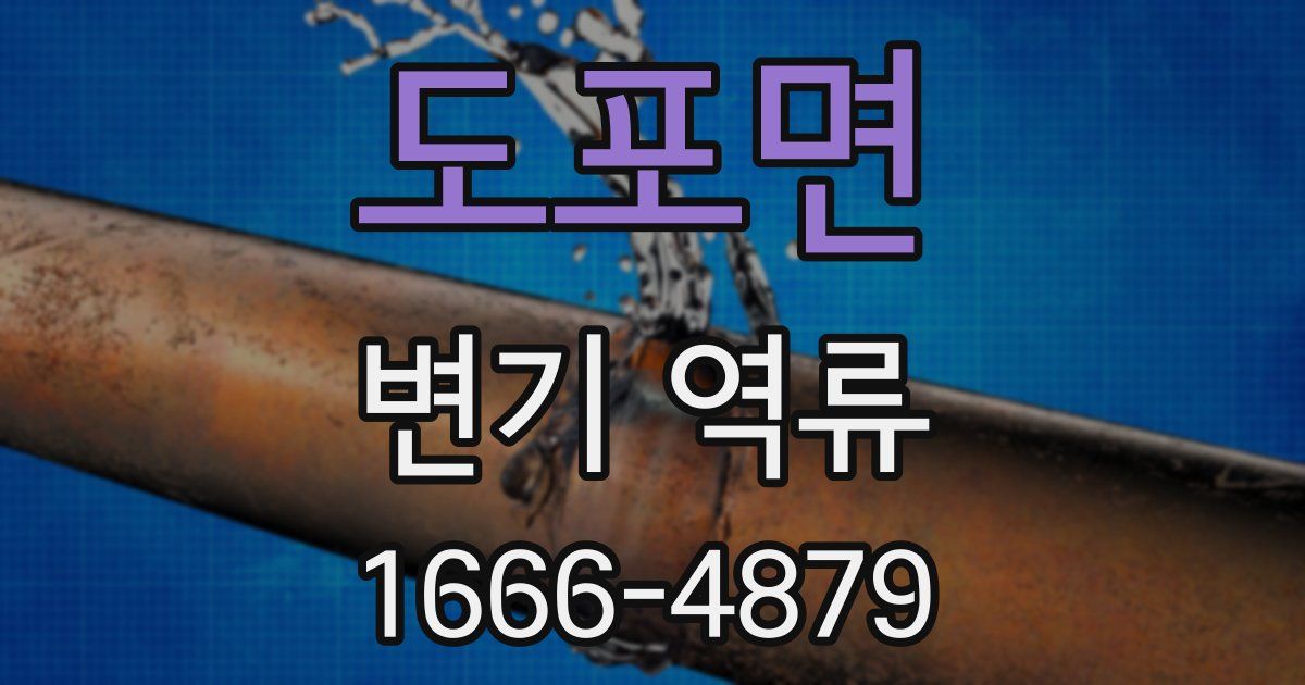 도포면 변기 역류