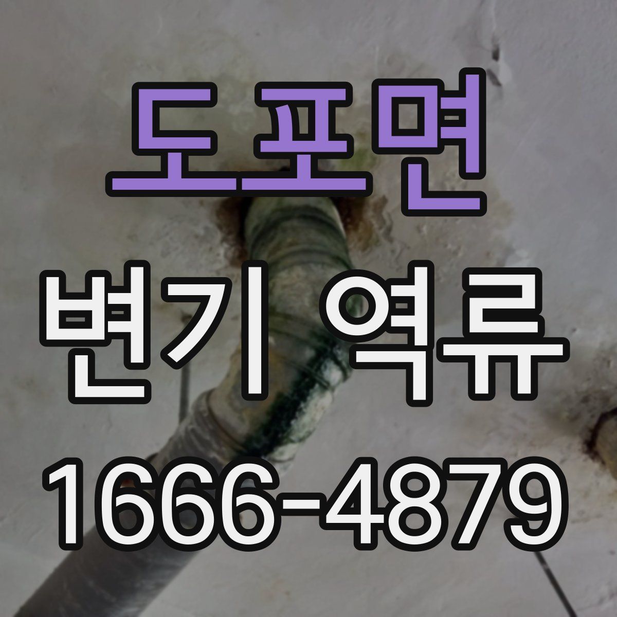 도포면 변기 역류