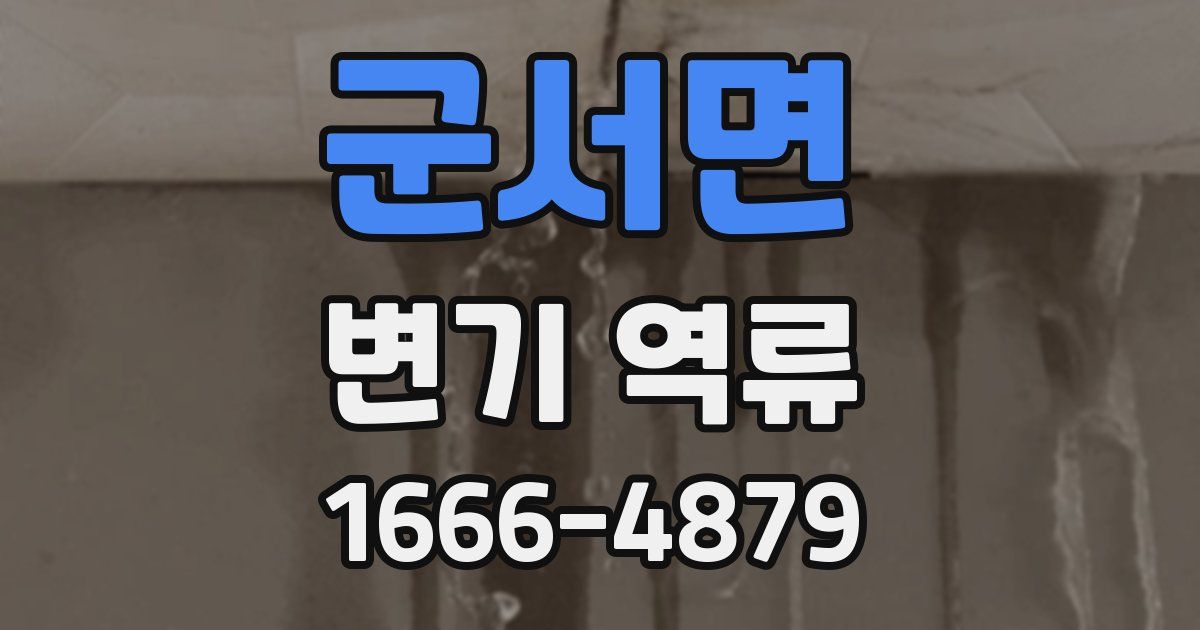 군서면 변기 역류