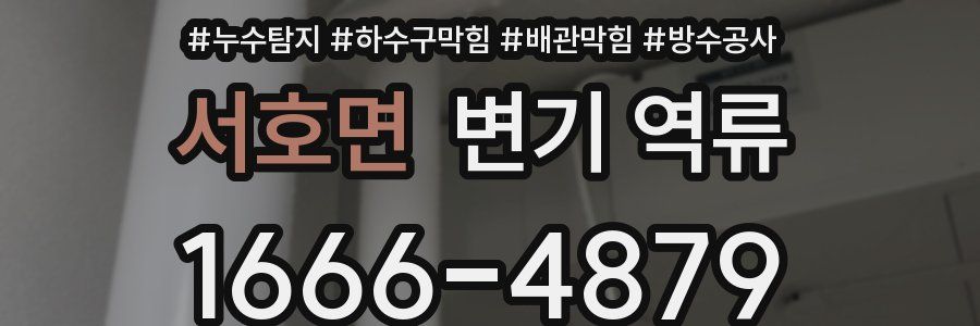 서호면 변기 역류