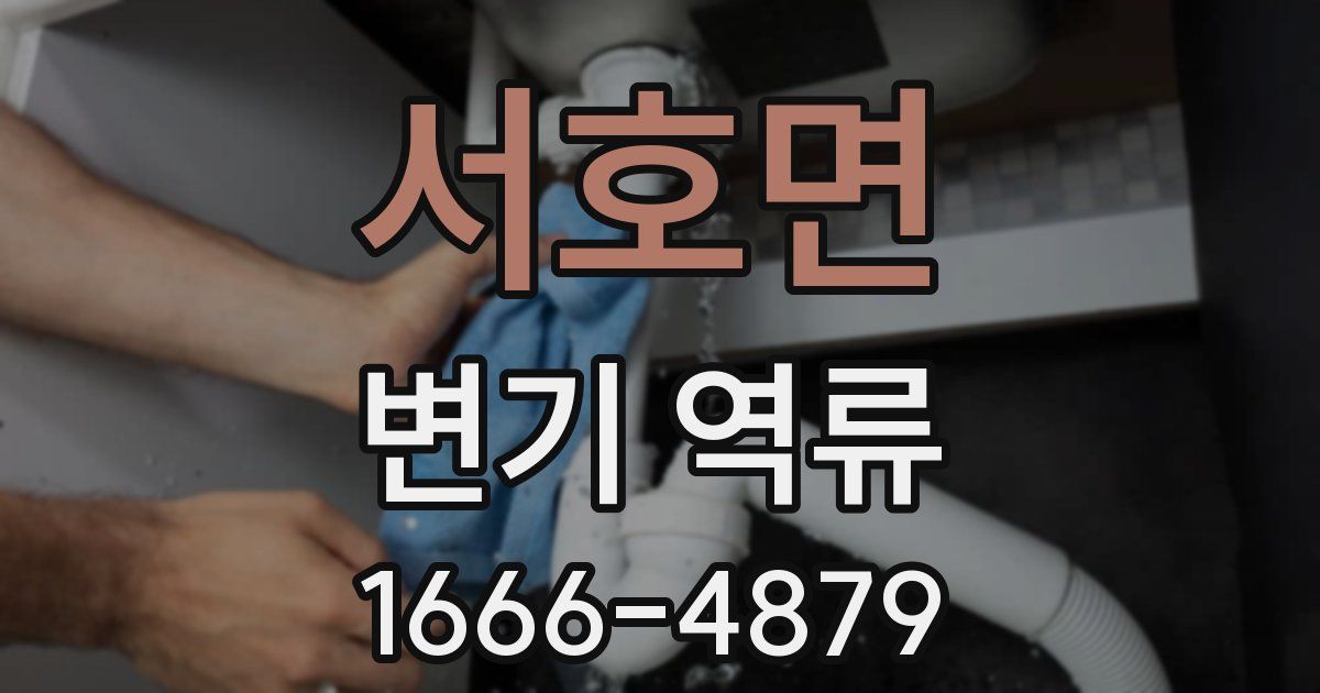 서호면 변기 역류