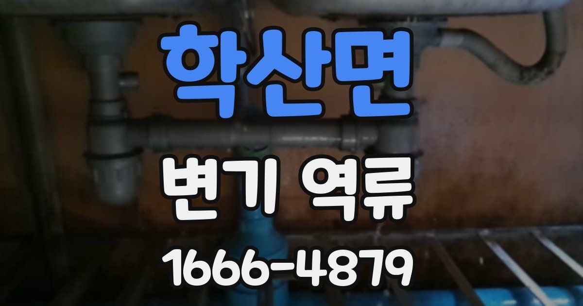 학산면 변기 역류
