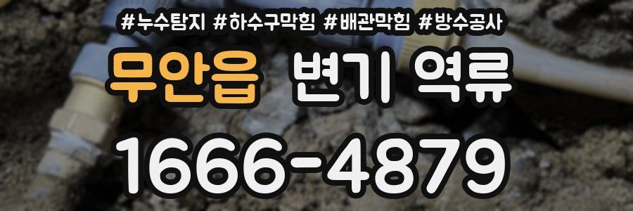 무안읍 변기 역류