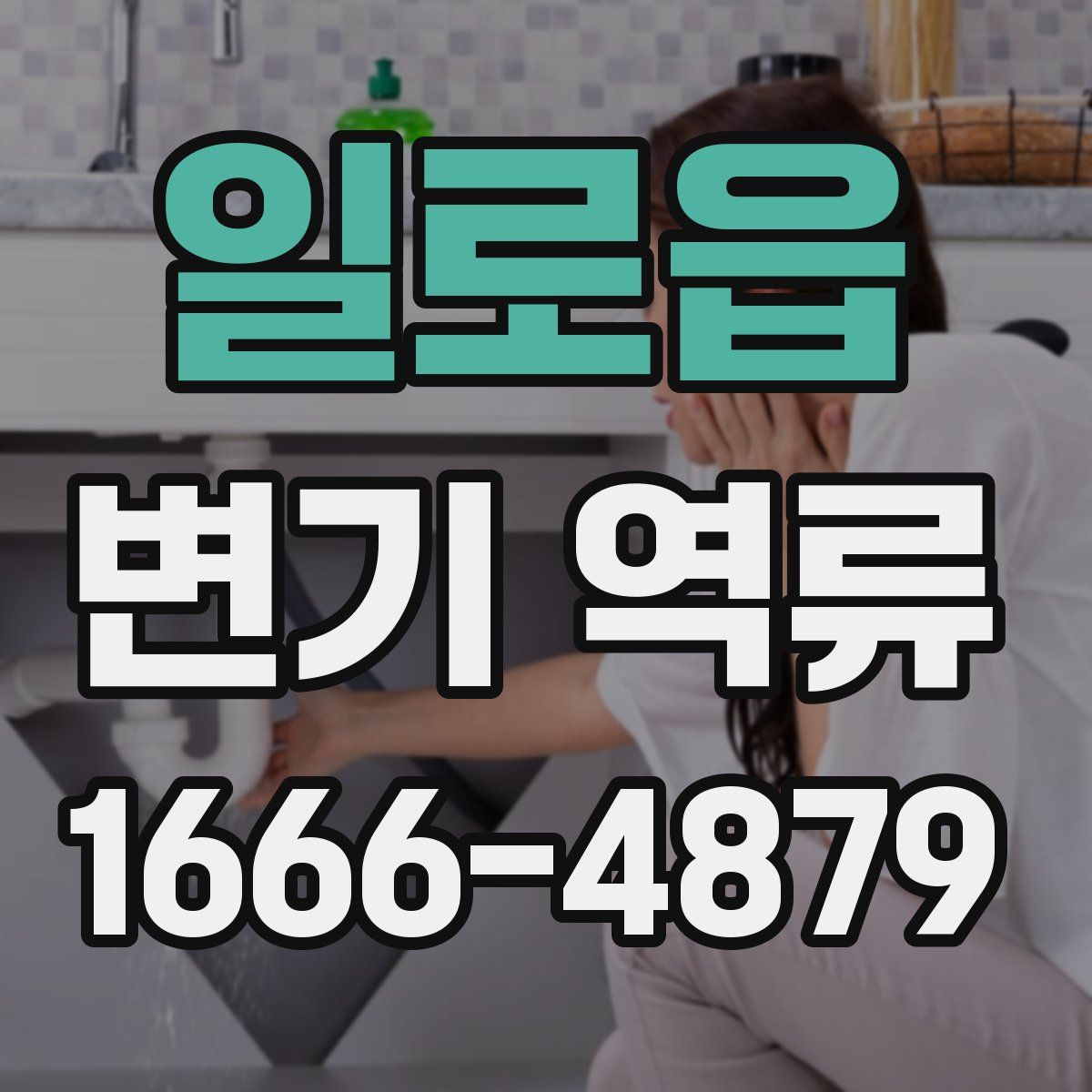 일로읍 변기 역류