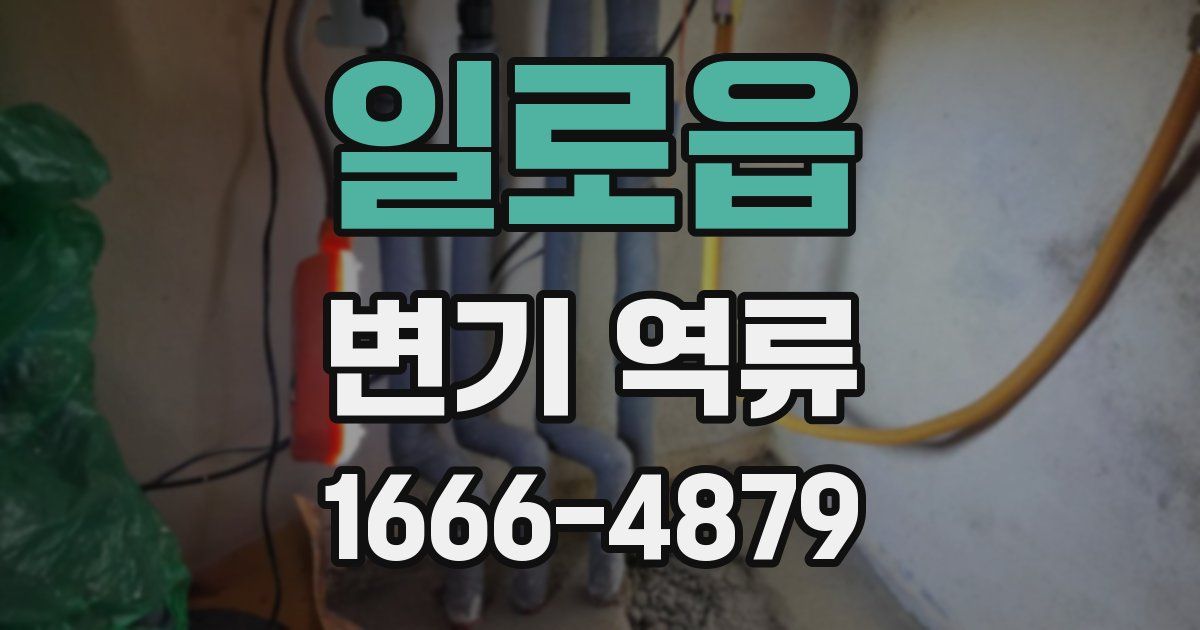 일로읍 변기 역류