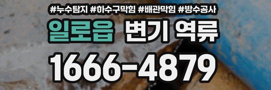일로읍 변기 역류