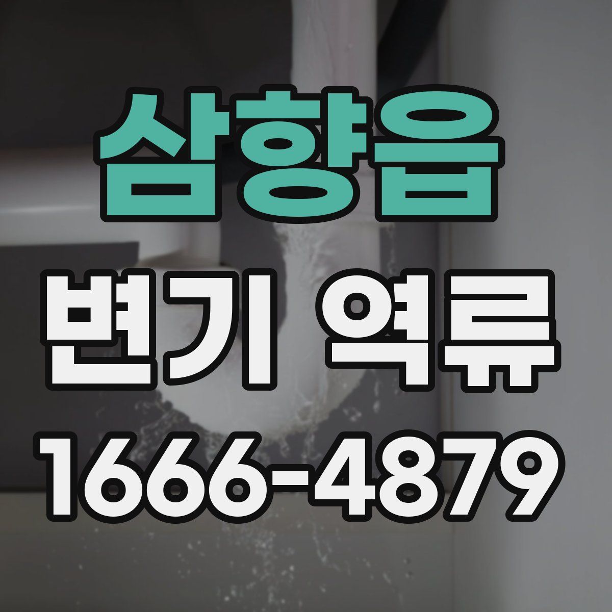 삼향읍 변기 역류