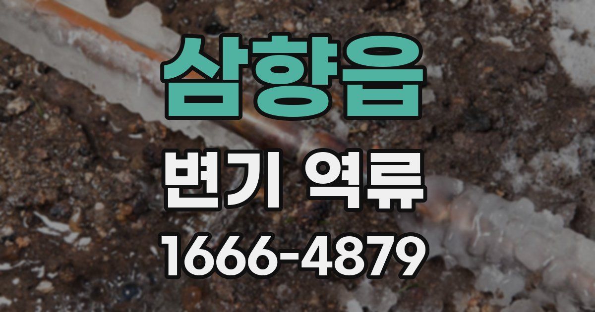 삼향읍 변기 역류