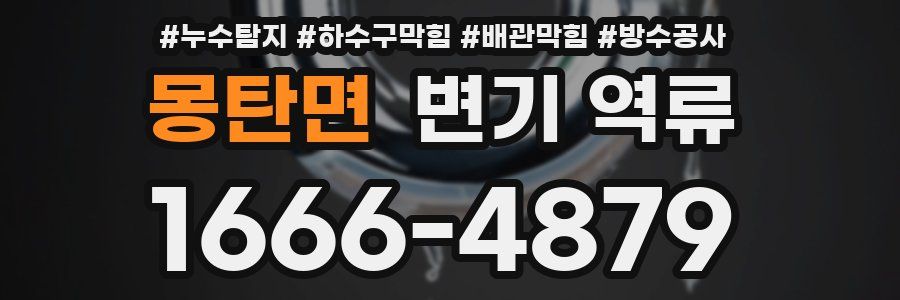 몽탄면 변기 역류
