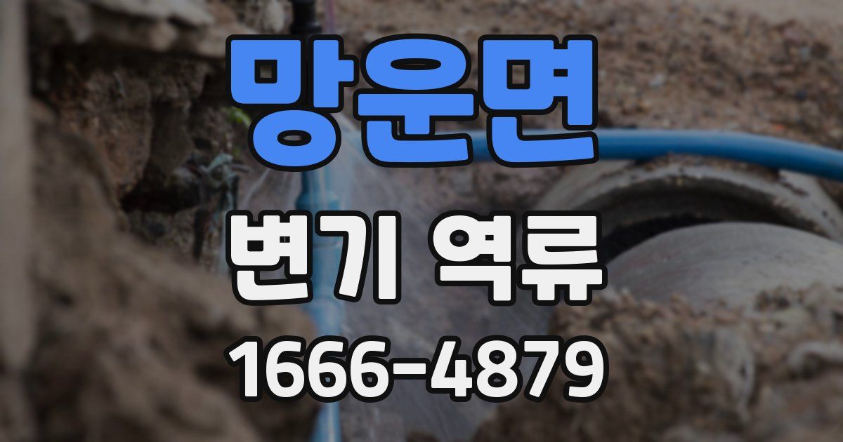 망운면 변기 역류