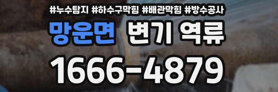 망운면 변기 역류