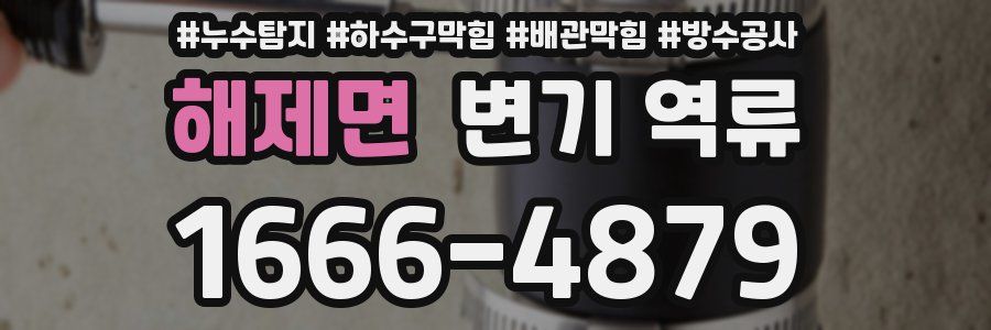 해제면 변기 역류
