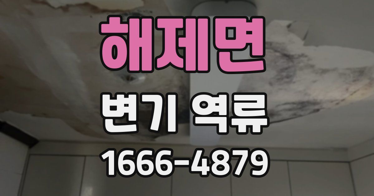 해제면 변기 역류