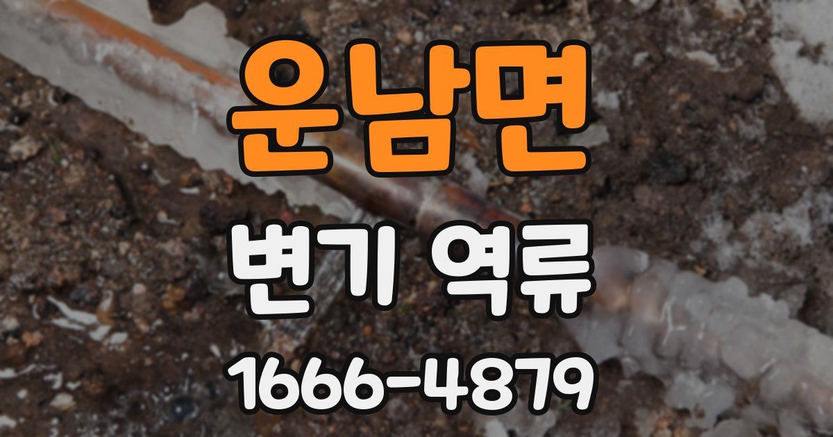 운남면 변기 역류