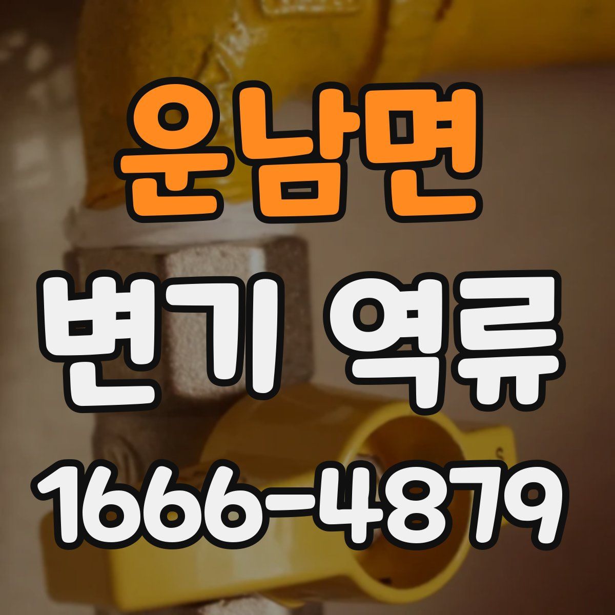 운남면 변기 역류