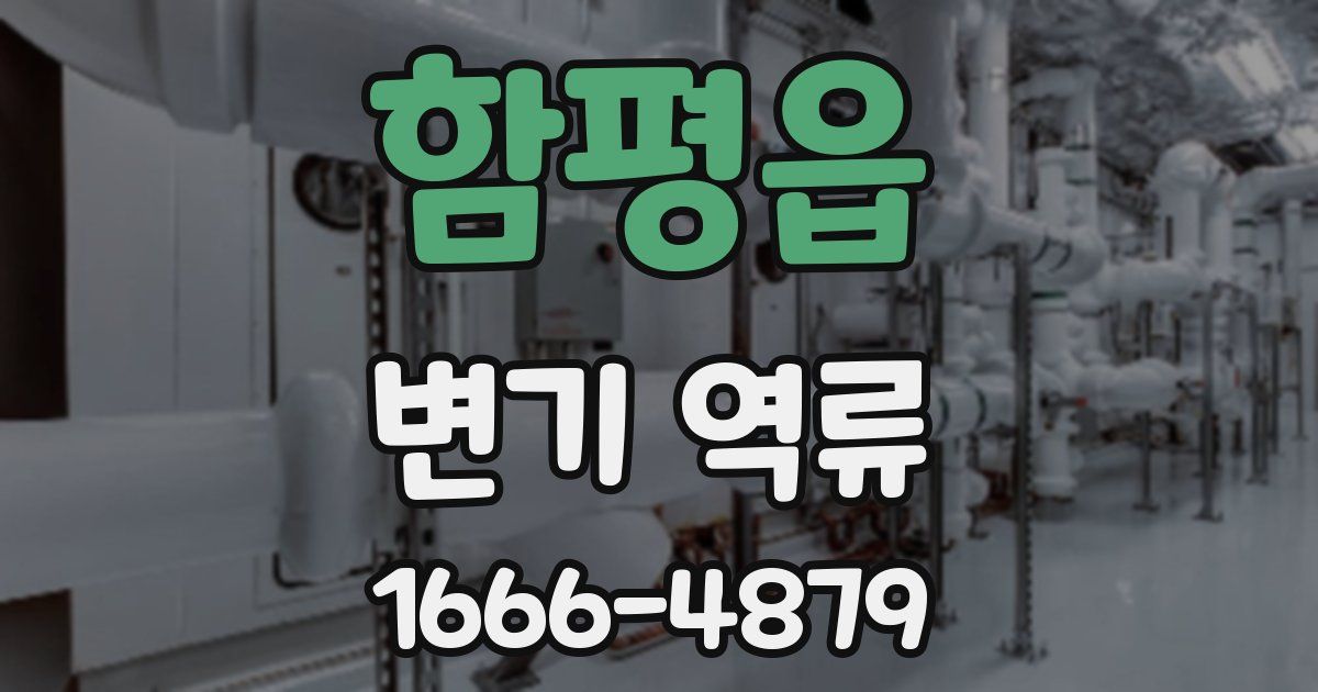 함평읍 변기 역류