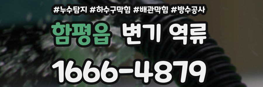 함평읍 변기 역류