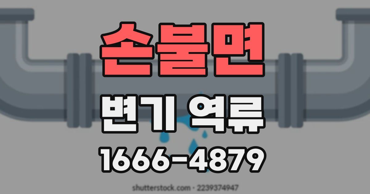 손불면 변기 역류
