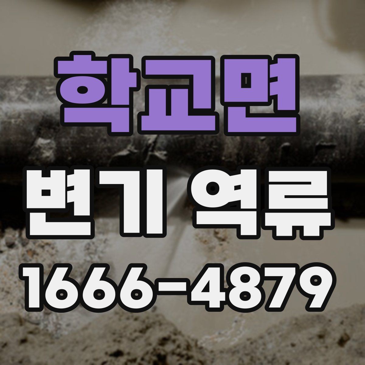 학교면 변기 역류 문제를 키우는 잘못된 사용