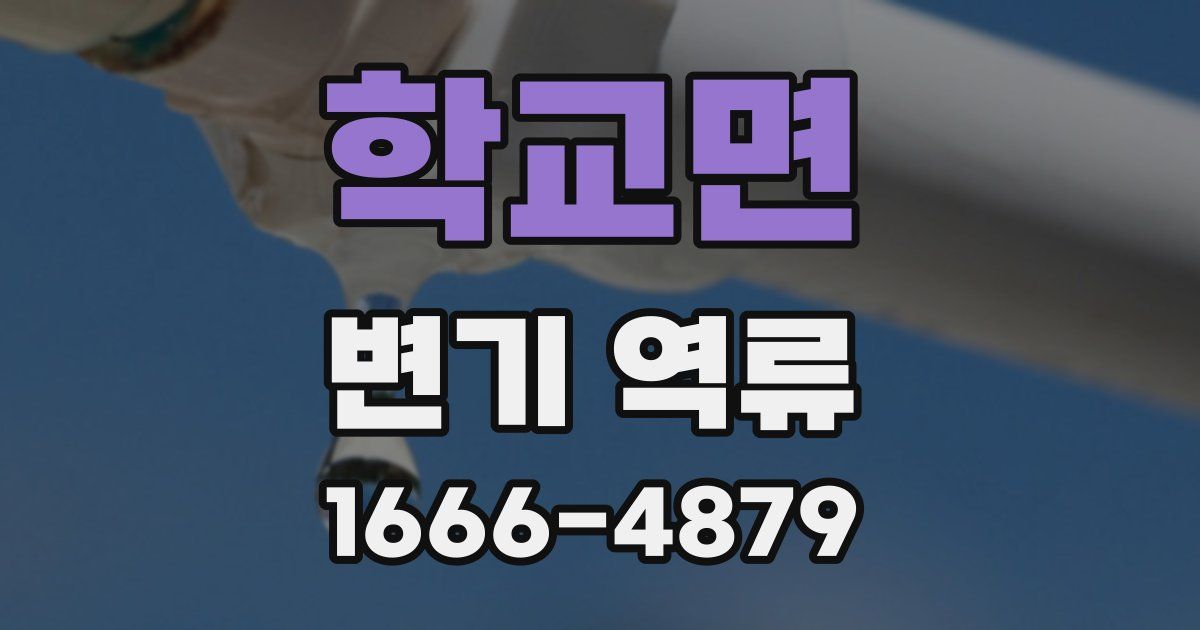 학교면 변기 역류