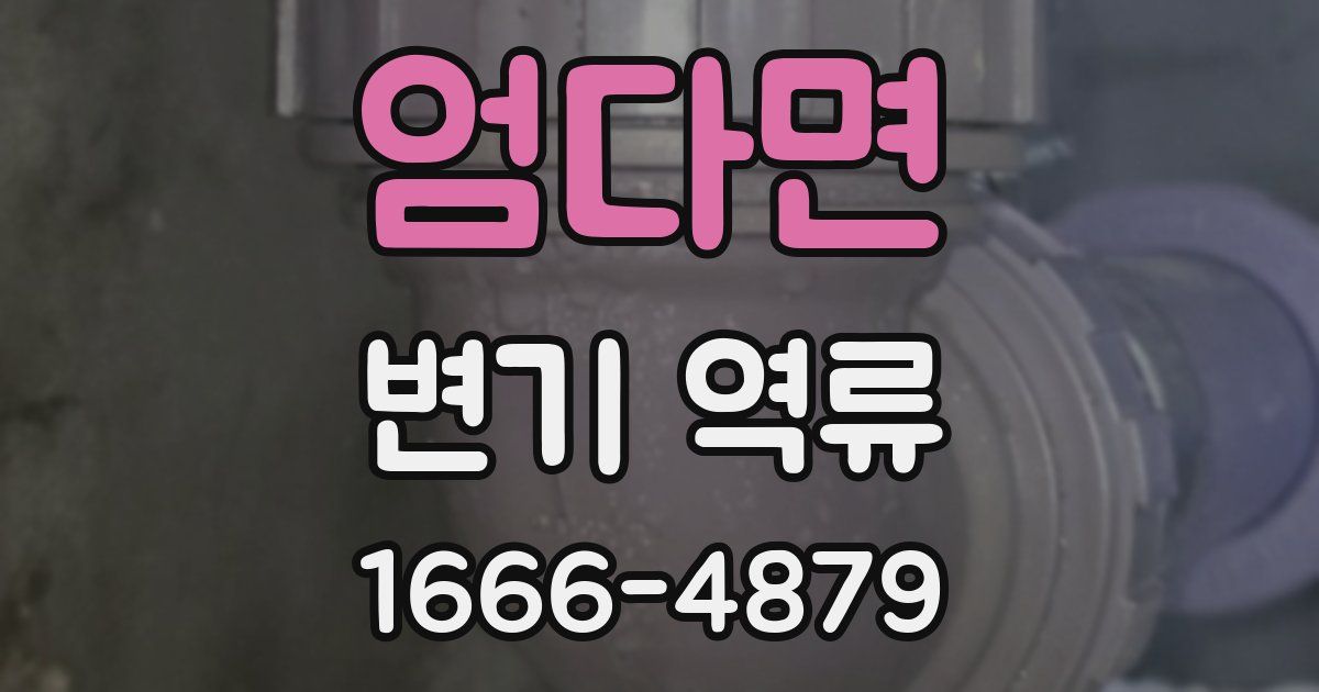 엄다면 변기 역류