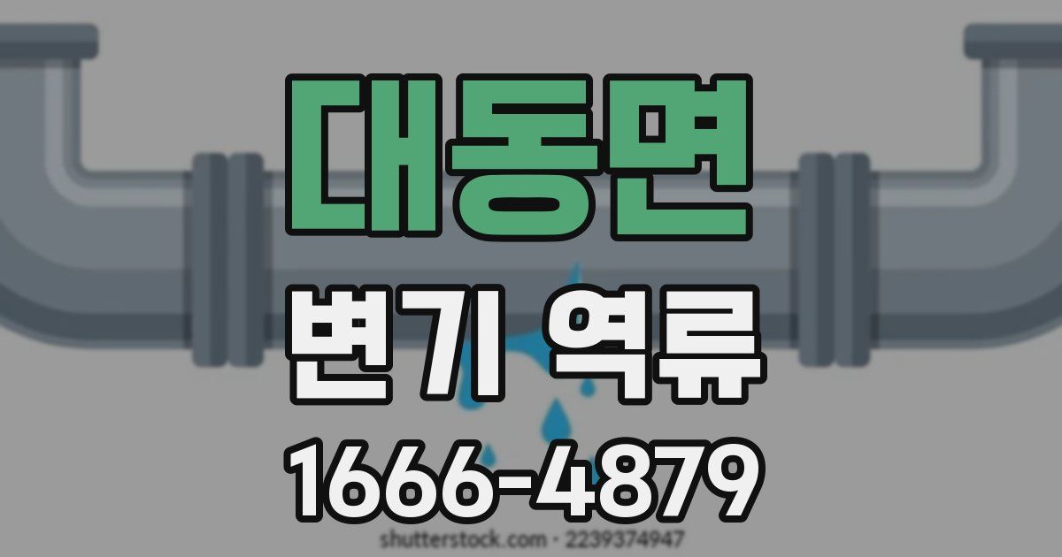 대동면 변기 역류