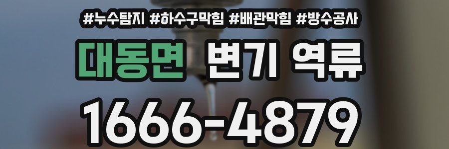 대동면 변기 역류