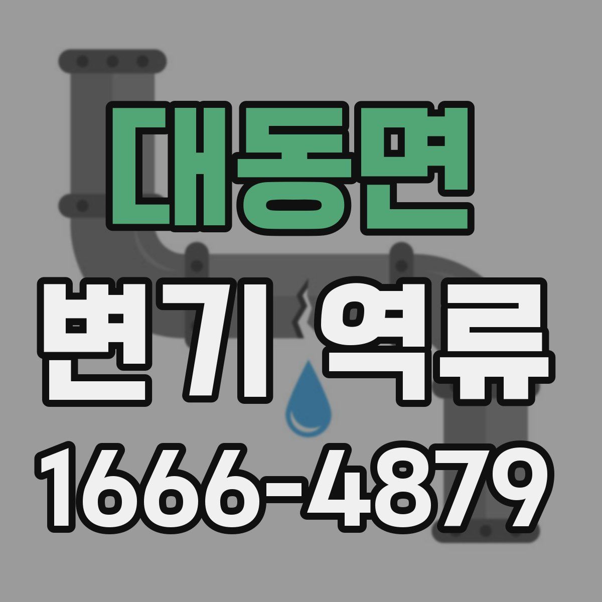 대동면 변기 역류