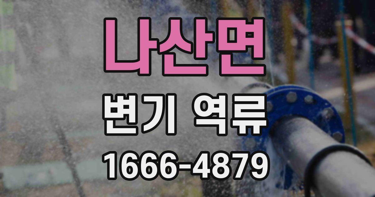 나산면 변기 역류