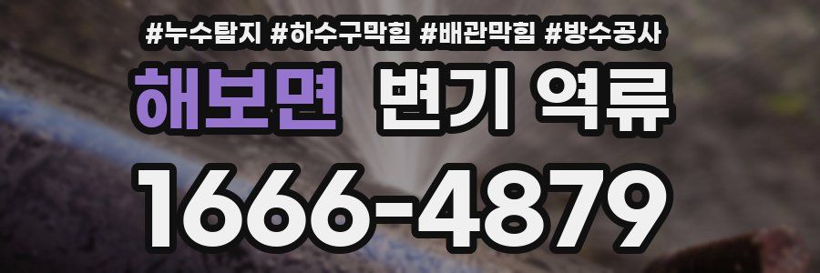 해보면 변기 역류