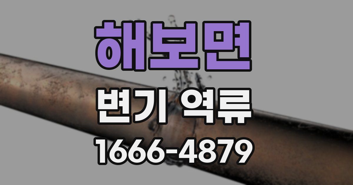 해보면 변기 역류
