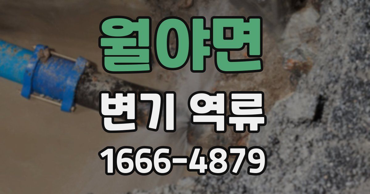 월야면 변기 역류