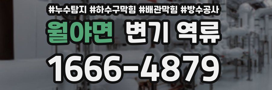 월야면 변기 역류