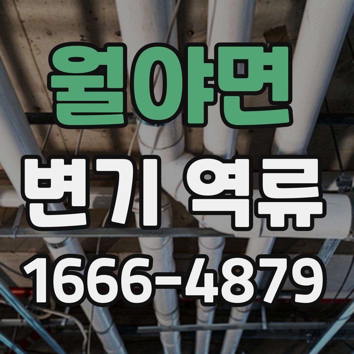 월야면 변기 역류