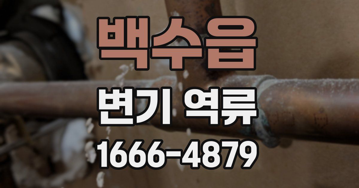 백수읍 변기 역류