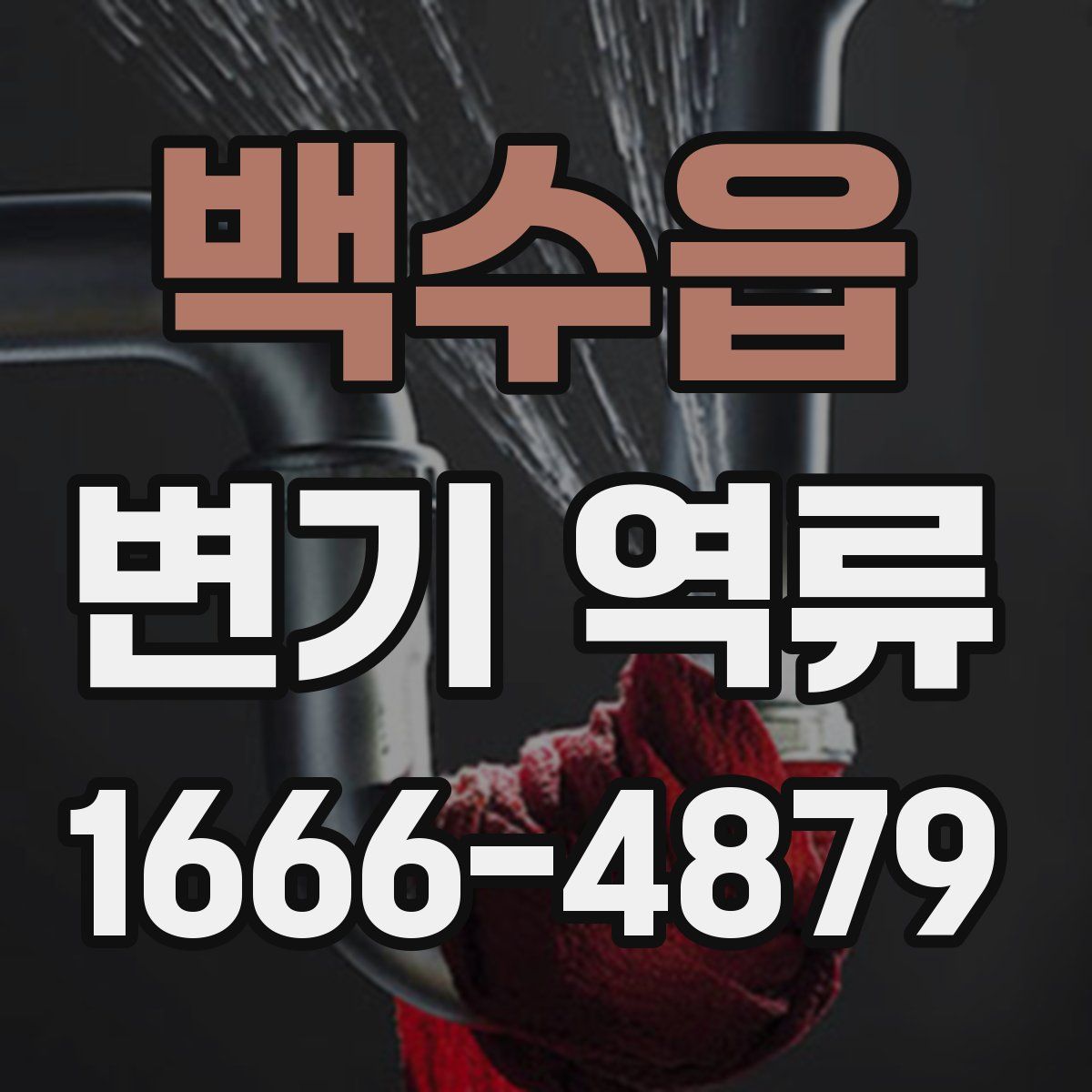 백수읍 변기 역류
