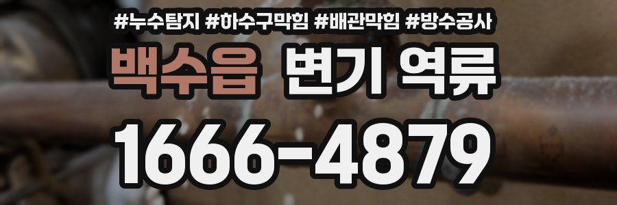 백수읍 변기 역류