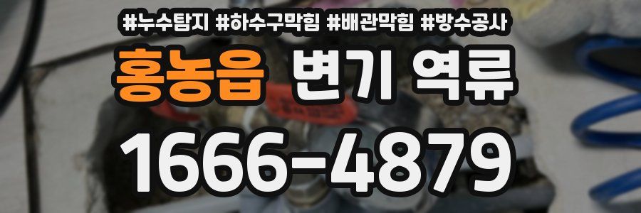 홍농읍 변기 역류