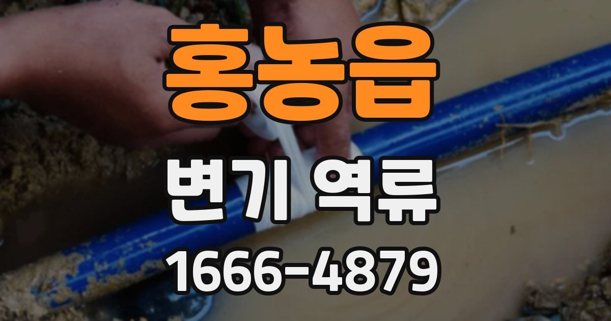 홍농읍 변기 역류