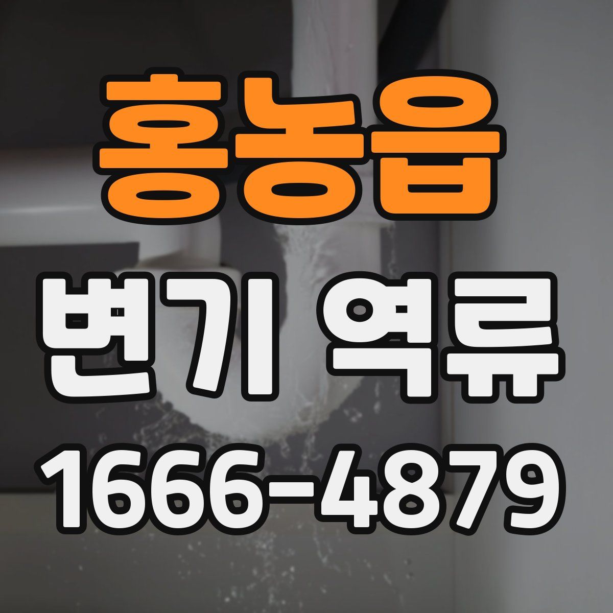 홍농읍 변기 역류