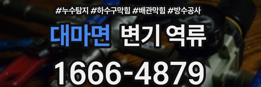 대마면 변기 역류