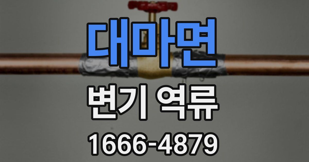 대마면 변기 역류
